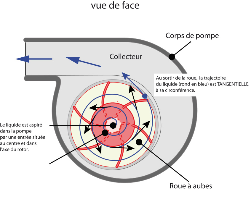 pompe centrifuge : vue de face avec diagramme des forces