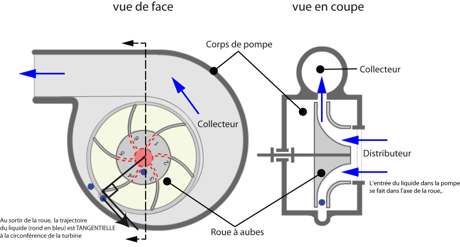 pompe centrifuge : vues de face et en coupe